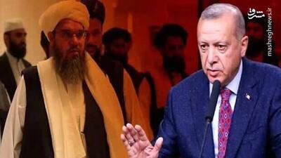 ماجراجویی اردوغان این بار در سرزمین افغان‌ها