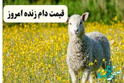 نبض بازار دام زنده برای ۶ خرداد ۱۴۰۴: قیمت‌ها صعودی است یا نزولی؟