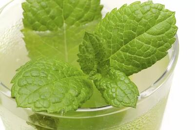 طرز تهیه چای زنجبیل: نوشیدنی گرم برای سلامتی و طعم دلپذیر | رصد ۱۰۰