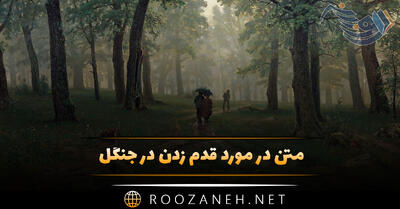 متن در مورد قدم زدن در جنگل؛ متن درباره آرامش و حس قدم زدن در طبیعت