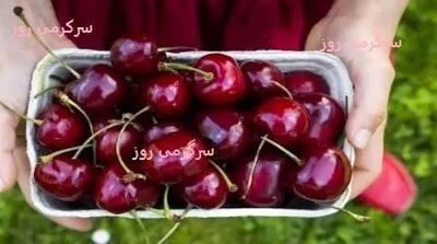 اثربخشی بهتر از کدئین و درمان تضمینی کم خونی با این میوه نوبرانه