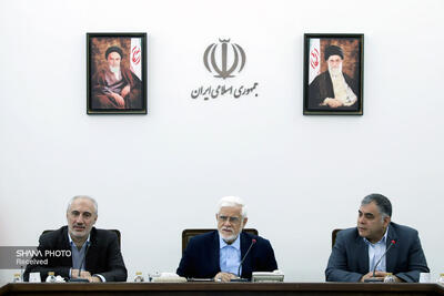 حضور وزیر نفت در نشست شورای اقتصاد