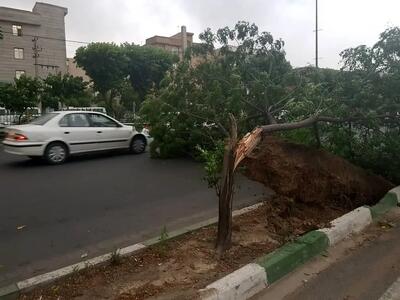 طوفان تندری در راه تهران و برخی استان‌های ایران