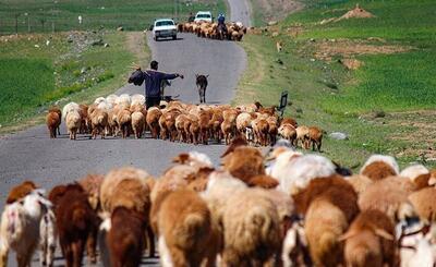آغاز کوچ بهاره عشایر اردبیل