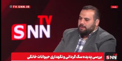عبدالحمیدی: آمار حمله سگ‌ها به انسان‌ها به تازگی به شدت رو به افزایش است + فیلم