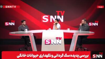 نادری: زمانی به شیر خشک ارز  نمی‌دادند اما به پت شاپ ها  تعلق می‌گرفت / عبدالحمیدی: محبت کردن افراطی به سگ ها یک ویروس در جامعه است + فیلم