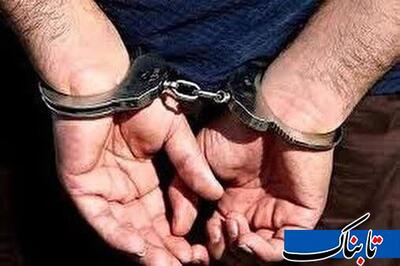دستگیری عوامل اخلاگر در فعالیت کامیون‌داران