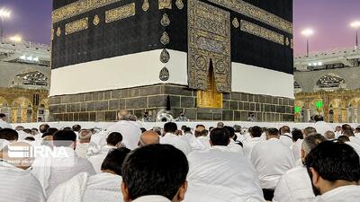 ۹۸ درصد زائران امسال حج اولی هستند