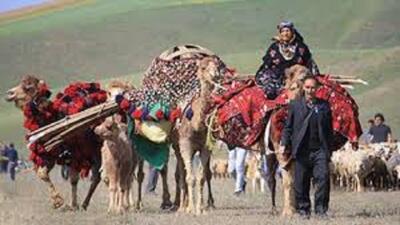 کوچ بهاره عشایر استان اردبیل آغاز شد