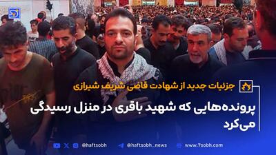 جزئیات جدید از شهادت قاضی شریف شیرازی