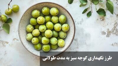 طرز نگهداری گوجه سبز به مدت طولانی | طریقه فریز کردن گوجه سبز برای زمستان