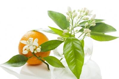 این میوه معجزه بهار برای سلامتی است