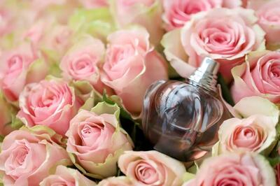 ۶ عطری که اعتمادبه‌نفس شما را تقویت می‌کند (+عکس)