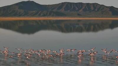سند تالاب گاوخونی صادر شد