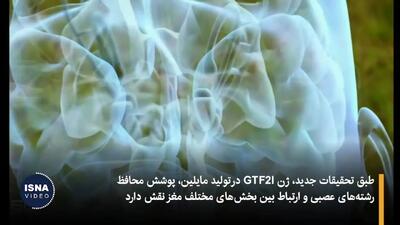 سندرم ویلیامز نقطه مقابل بیش‌فعالی + فیلم
