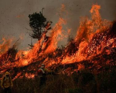 عوامل آتش سوزی مراتع فارس دستگیر شدند