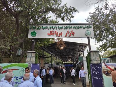 کمبود بازارهای میوه و تره‌بار در جنوب تهران