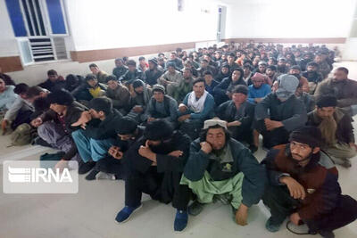 ۶۸۸ نفر از اتباع غیرمجاز در شهرستان هامون دستگیر شدند