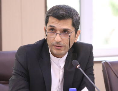 کشور ما در وضعیت بحرانی در حوزه جنگل‌ها قرار دارد