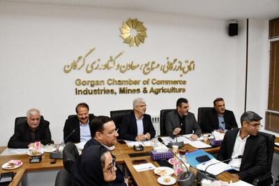 گام بلند گلستان برای حمایت از تولید/ بررسی موانع ۲۲ واحد اقتصادی