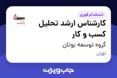 استخدام کارشناس ارشد تحلیل کسب و کار - آقا در گروه توسعه بوتان