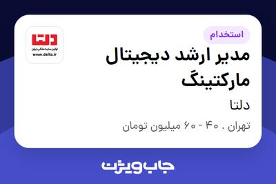 استخدام مدیر ارشد دیجیتال مارکتینگ در دلتا