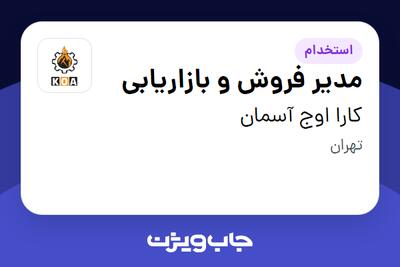 استخدام مدیر فروش و بازاریابی در کارا اوج آسمان