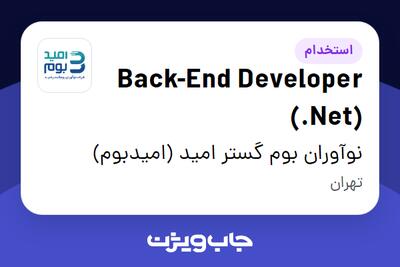 استخدام Back-End Developer (.Net) در نوآوران بوم گستر امید (امیدبوم)