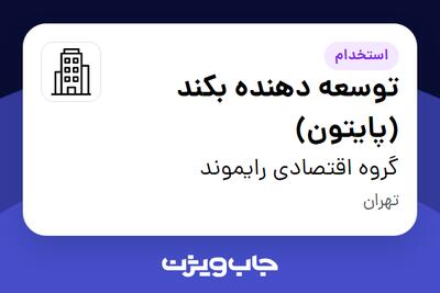 استخدام توسعه دهنده بکند (پایتون) در گروه اقتصادی رایموند