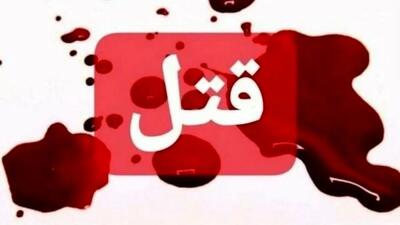 قتل فجیع در تهران/ له شدن شوهر سابق زیر چرخ‌های خودرو شوهر جدید!