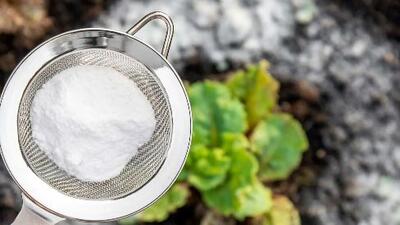 نقش جوش شیرین در سلامت، محیط زیست و صنایع غذایی