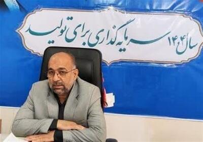 برگزاری 150 برنامه فرهنگی، اجتماعی و هنری در شهرستان بیرجند - تسنیم