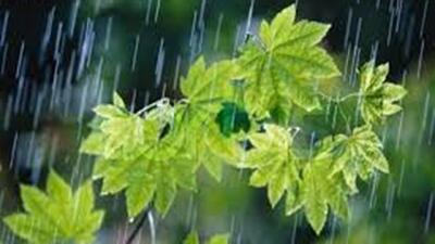 بارش باران به فولادشهر جان تازه بخشید + فیلم