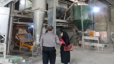 تولید با دقت زیر ذره‌بین؛ کارخانجات خوراک دام و طیور بابل رصد می‌شوند