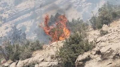 مهار آتش سوزی در هماگ بندرعباس