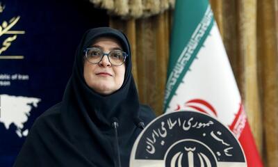 سخنگوی دولت: مشکل کامیونداران در دولت مطرح شد