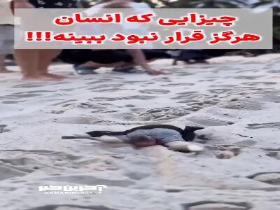 عجیب‌ترین موجودات زمین!