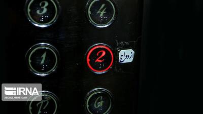 چندهمسری در واقعیت