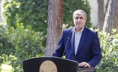 اسلامی در پاسخ به آخرین خبر: اگر توافق شود احتمال دارد به بازرسان آمریکایی هم اجازه بازرسی از تاسیسات هسته‌ای را بدهیم