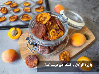 با زردآلو کال یا خشک چی درست کنم؟ با زردآلو له شده چی میشه درست کنم؟