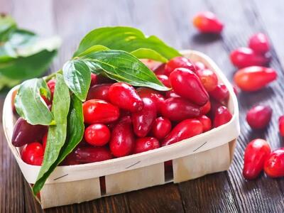 میوه های مفید برای دفع سنگ کلیه