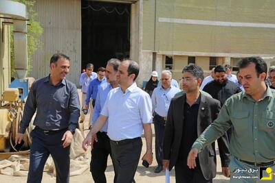 بازدید مدیرعامل شرکت برق حرارتی از نیروگاه رامین اهواز