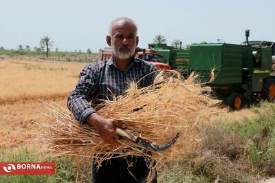 جلسه ایی کارگشا؛ از تسریع در پرداخت مطالبه ها و تعلیق جریمه‌ها تا ایجاد دفتر ویژه پیگیری مشکل کشاورزان خوزستان