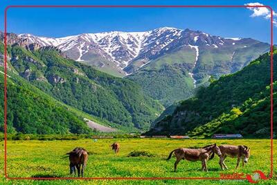 دشت دریاسر تنکابن یکی از زیباترین مناطق شمال ایران