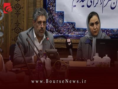 دومین شرکت  نیان  در چند قدمی بازار سرمایه