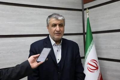 اسلامی: اگر توافق کنیم، بازرسان آمریکایی را از طریق آژانس می‌پذیریم