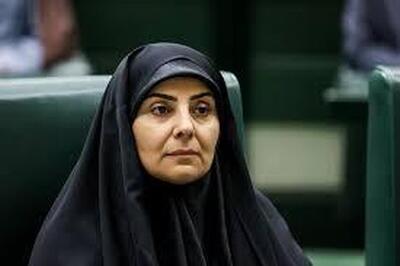 رئیس امور اطلاع‌رسانی دولت: عده‌ای هر روز در حال پخش شایعات کودکانه هستند
