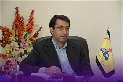 بهنام میرزایی مدیرعامل شرکت مهندسی و توسعه گاز ایران شد