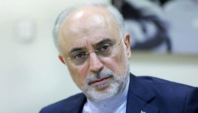 علی اکبر صالحی: ترامپ در برخورد با ایران، نوعی مینیمالیسم راهبردی اتخاذ کرده / در نگاه ترامپ، مطلوب‌ترین نتیجه آن است که ایران با هزینه‌ای قابل‌قبول، از طریق مذاکره مهار شود / او ترجیح می دهد از درگیری نظامی آشکار با تهران اجتناب کرده و در عوض مسیر دیپلماتیک را دنبال کند / از نگاه او، درگیر شدن در یک جنگ مستقیم با ایران می‌تواند به شکل‌گیری روابط عمیق‌تر میان تهران و پکن منجر شود