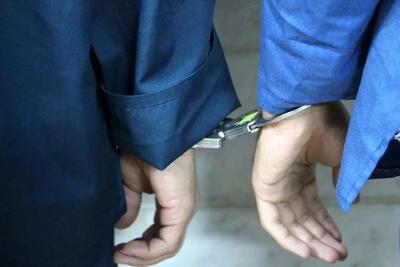 انهدام باند سارقان با 35 فقره سرقت‎